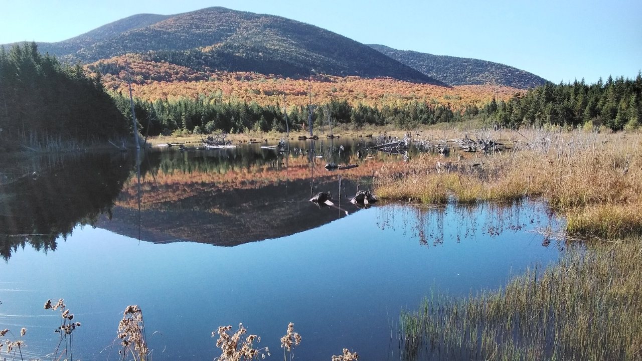 Vue d'une petite structure au bord de la forêt en automne dans la ZEC Louise-Gosford